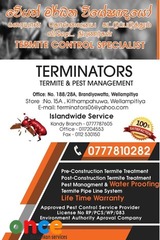 Termite & Pest Management